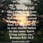 #Overflow by: Julie&nbsp;Wicker