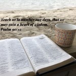 #potential #livelifeonpurpose  by: Julie&nbsp;Wicker