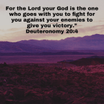 #refuge by: Julie&nbsp;Wicker