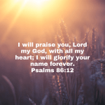 #praise by: Julie&nbsp;Wicker