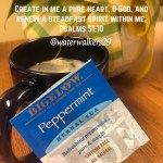 #aseasontohydrate by: Julie&nbsp;Wicker