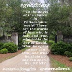 #For-goodness-sake by: Julie&nbsp;Wicker