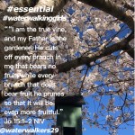 #youareessential by: Julie&nbsp;Wicker