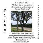 #liveyourlifeinhim by: Julie&nbsp;Wicker