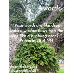 #words #waterwalkinggirls by: Deborah&nbsp;Ard