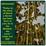 #shinenoel by: Julie&nbsp;Wicker