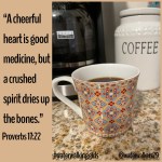 #mondaymindset #cheerfulheart