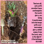 #transformationtipstuesday #becomingbrighter