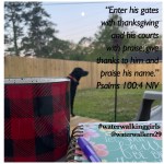 #thankfulthursday #attitudeofgratitude