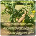 #transformationtiptuesday #waterwalkinggirls