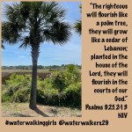 #spiritualsunday #flourish #waterwalkinggirls