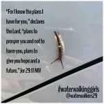 #transformationtipstuesday #change #waterwalkinggirls