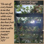 #thankfulthursday #fruitbearer #waterwalkinggirls