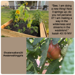 #transformationtiptuesday #newthing #waterwalkinggirls