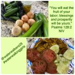 #thankfulthursday #blessings #waterwalkinggirls