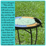 #transformationtipstuesday #lookandlisten #waterwalkinggirls