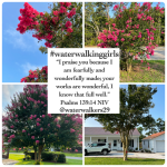 #transformationtipstuesday #fearfullymade #wonderfullymade