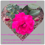 #thankfulthursday #sacrificiallove #waterwalkinggirls