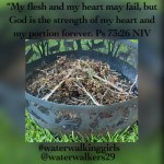 #thankfulthursday #refine #waterwalkinggirls