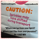 #spiritualsunday #shifted #waterwalkinggirls