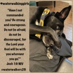 #mindsetmonday #courageousspirit #waterwalkinggirls