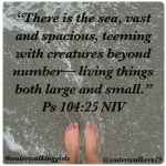 #waterwalkingwednesday #standinawe #waterwalkinggirls