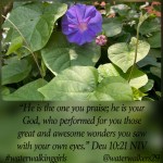 #thankfulthursday #countyourmiracles #waterwalkinggirls