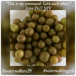 #transformationtiptuesday #loveeachother #waterwalkinggirls