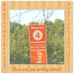 #thankfulthursday #serveoneanother #waterwalkinggirls