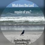 #waterwalkingwednesday #walkhumbly #lovemercy&nbsp;#actjustly