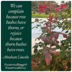 #thankfulthursday #rejoicealways #waterwalkinggirls