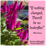 #mindsetmonday #change