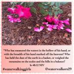 #finishfriday #bealright #waterwalkinggirls