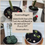 #transformationtipstuesday #flourish #waterwalkinggirls