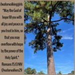 #transformationtipstuesday #hope #joy #peace #trust #waterwalkinggirls