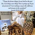 #transformationtipstuesday #somethingnew #wordoftheyear #waterwalkinggirls