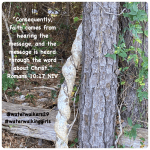 #transformationtiptuesday #scripture #waterwalkinggirls