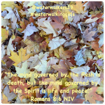 #mindsetmonday #governedbythespirit #waterwalkinggirls