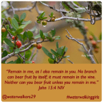 #spiritualsunday #remaininthevine #waterwalkinggirls