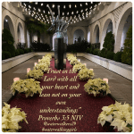 #waterwalkingwednesday #trust #waterwalkinggirls