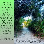 #mindsetmonday #rundevilrun #getbehindmesatan #waterwalkinggirls