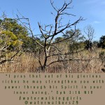 #finishfriday #strengthen #godspower #tohimwhoisable #waterwalkinggirls