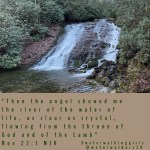 #spiritualsunday #baskinhisbeauty