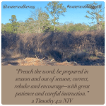 #waterwalkingwednesday #preachtheword #waterwalkinggirls