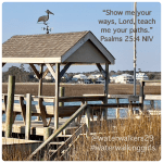 #spiritualsunday #direction #waterwalkinggirls