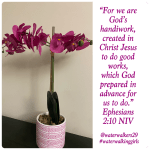 #transformationtiptuesday #createdinChristJesus #waterwalkinggirls