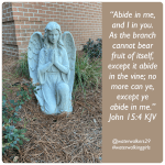 #mindsetmonday #abide #waterwalkinggirls