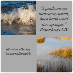 #waterwalkingwednesday #gentle #waterwalkinggirls