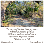 #thankfulthursday #holyspirit #waterwalkinggirls