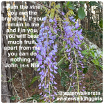 #seeyousaturday #abide #waterwalkinggirls